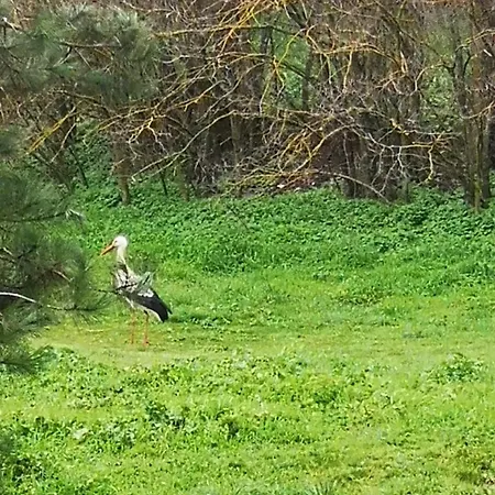 Cathedral And Castle Appartamento Burgo