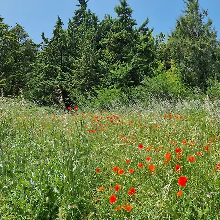 Apartment Cathedral And Castle *