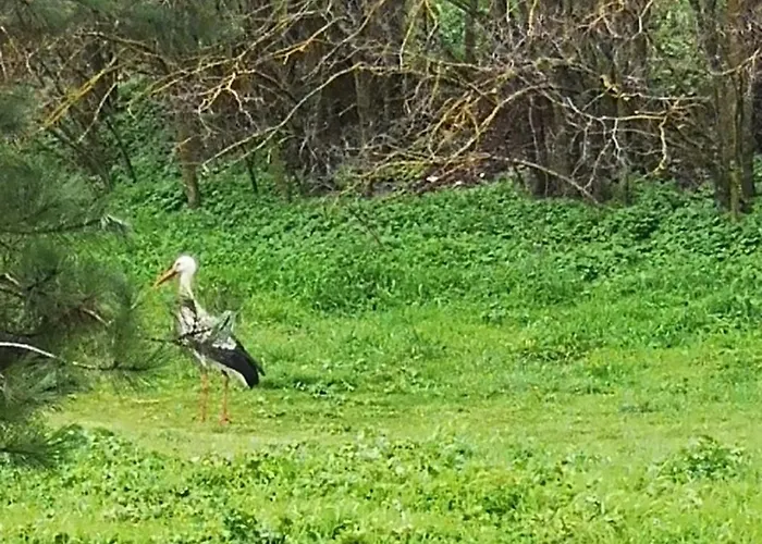 Cathedral And Castle Apartment Burgos
