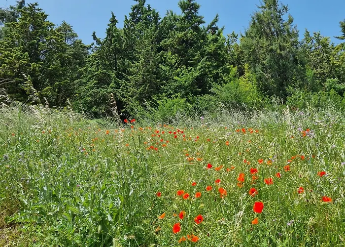アパート Cathedral And Castle *